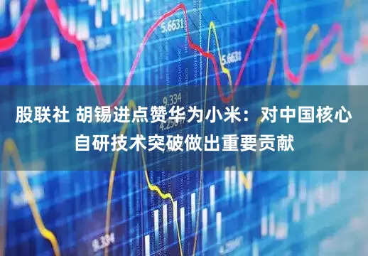股联社 胡锡进点赞华为小米：对中国核心自研技术突破做出重要贡献